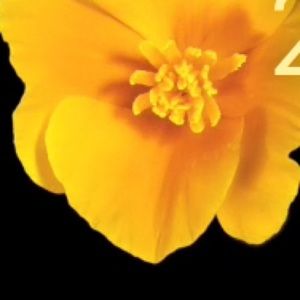 Meet your Posher, Latonya